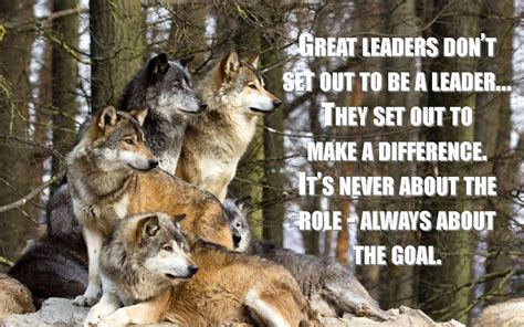 pack of wolves leadership